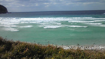 081214_123023.jpg