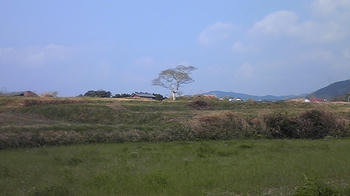 090401_090903.jpg