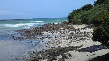 090607_111955.jpg