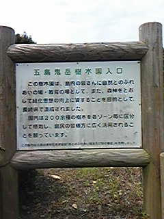 090705_103320.jpg