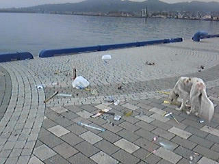 090803_101550.jpg