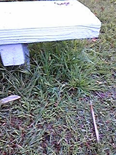 090928_092312.jpg