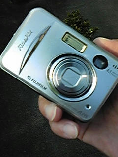 090925_155510.jpg