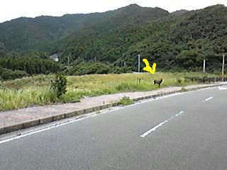 091007_113951.jpg