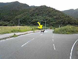 091007_114006.jpg