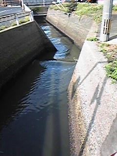 091109_102011.jpg