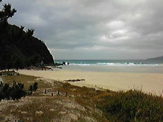 091226_103700_ed.jpg