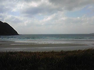 091228_115554_ed.jpg