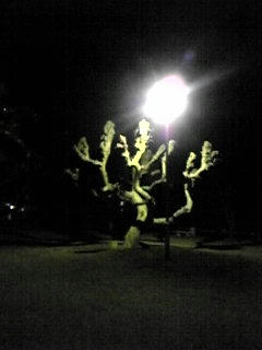 100124_002532.jpg