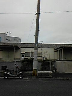 100209_122059.jpg