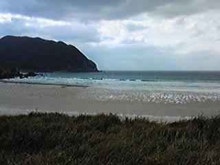 100213_131107_ed.jpg