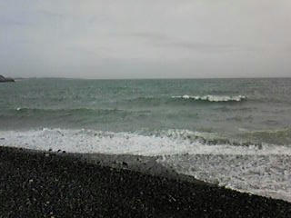 100225_125142_ed.jpg