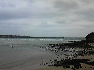 100227_120505_ed.jpg