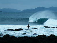97509b75-s.jpg