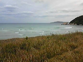 100414_081005_ed.jpg