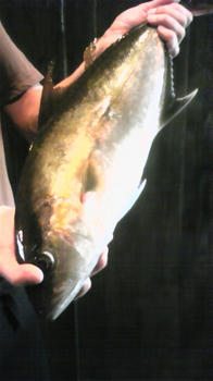100504_165832.jpg