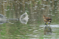 DSC_0124.JPG