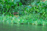 080813yossie2.jpg