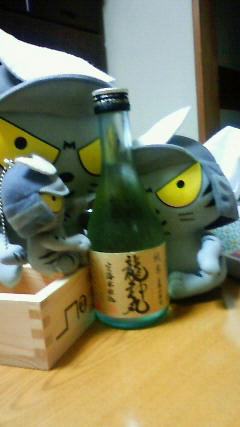 酒にたかる猫ども
