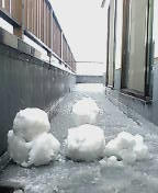 20080123113819.jpg