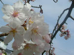 DSCF2901.JPG