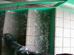 DSCF2955.JPG