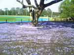 Image076.jpg
