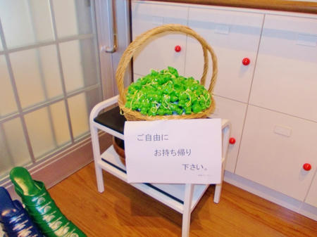 DSCN0018_R.JPG