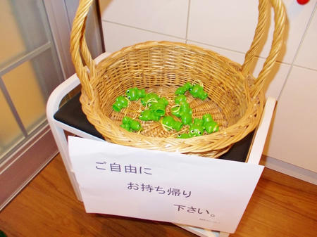 DSCN0020_R.JPG