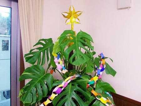 DSCN0548.jpg
