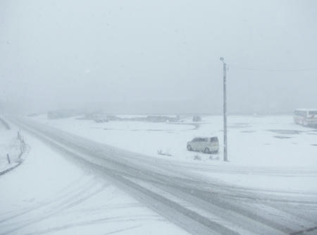 DSCN0772.jpg