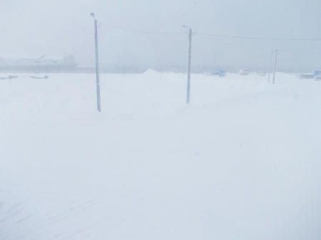 DSCN1102.jpg
