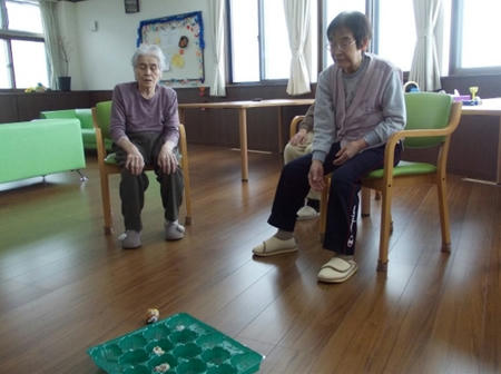 DSCN1181.jpg