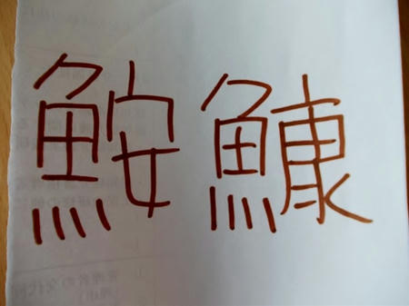 DSCN0725.jpg