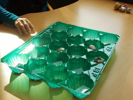 DSCN1526.jpg