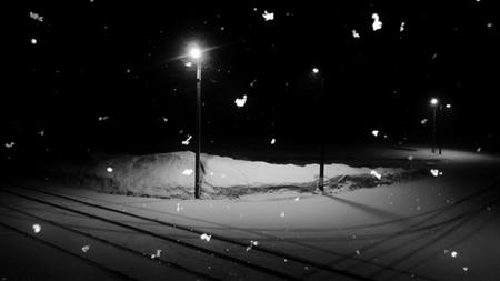 DSCF0455.jpg