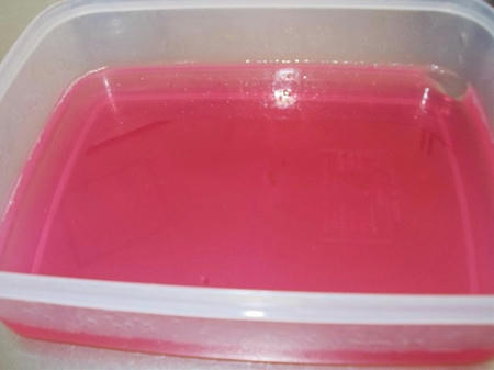 DSCN1090.jpg