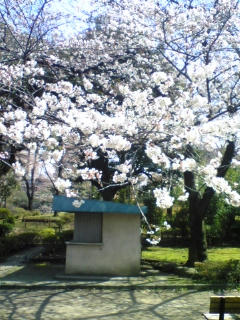 100329_113150.jpg