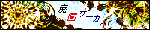 37b894f9.GIF
