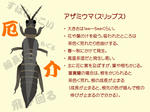 0a89f29a.jpg