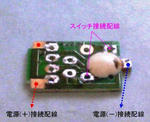 9950fc79.jpg