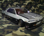 fa4b382c.JPG