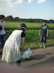 b93135b6.JPG