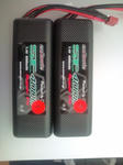 20100401-1.JPG
