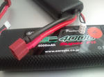 20100401-2.JPG