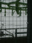 yuki080209.jpg