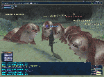 monga2.gif