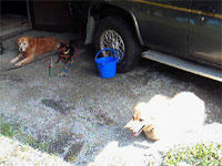 201008031014000.jpg.jpg