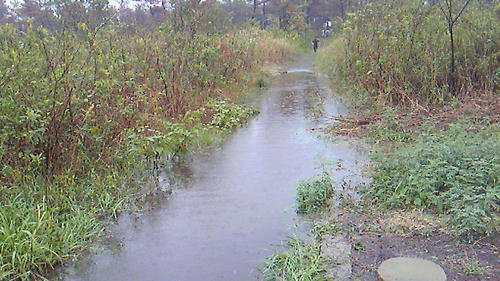 201010101157000.jpg