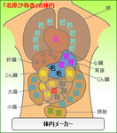 北原沙弥香体内メーカー